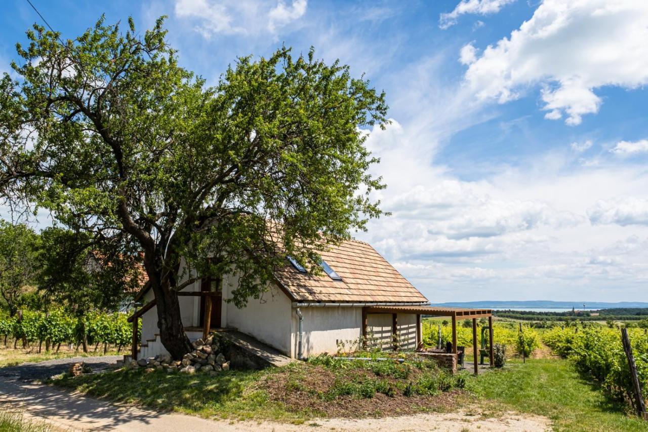 Tagyon Birtok Mandula Apartmanhaz Exterior photo